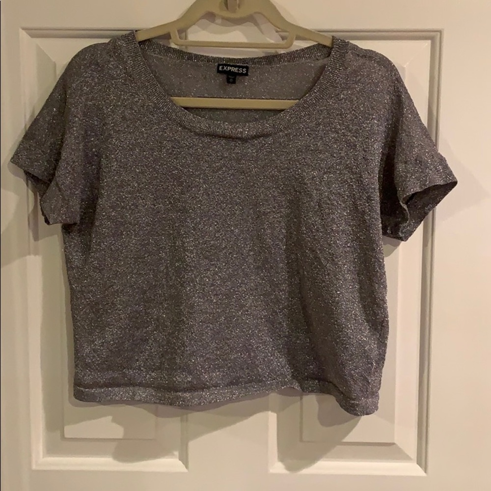 Silver crop top
